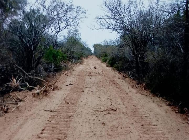 Terreno · 103ha