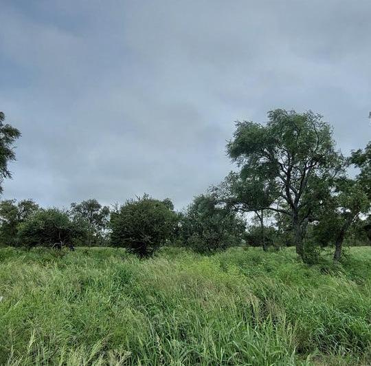 Campo · 12000000m²