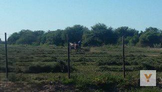 Campo · 9180000m²