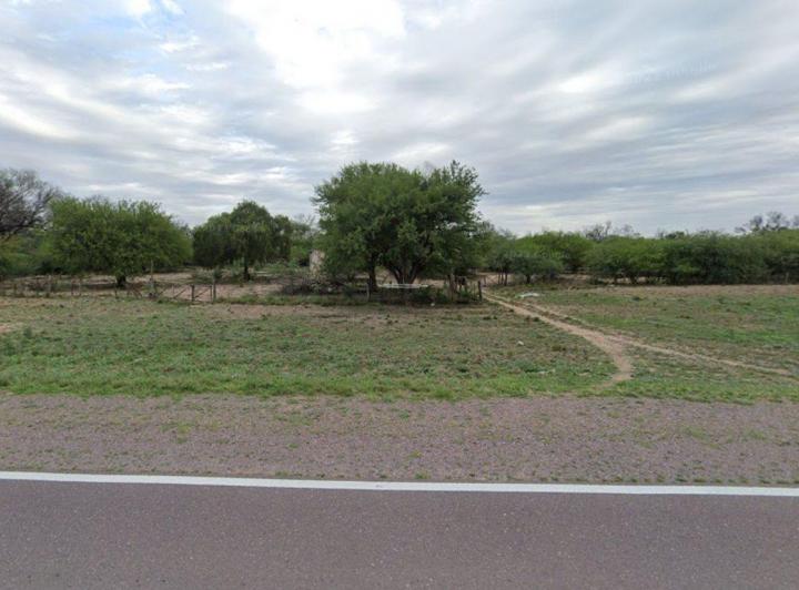 Campo · 919ha