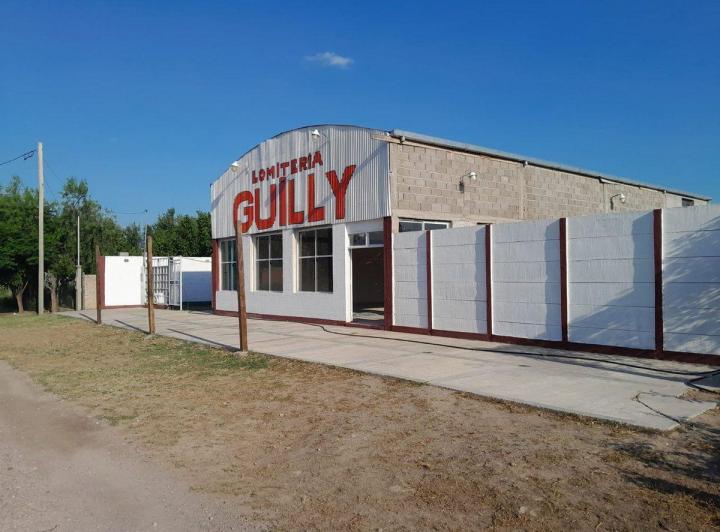 Bodega-Galpón · 250m²