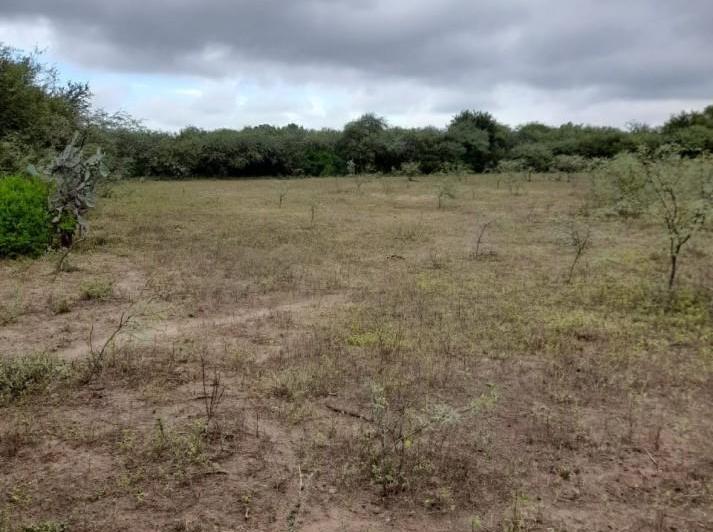 Campo · 170000m²