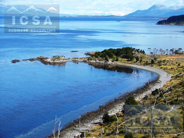 Campo · 10000000ha