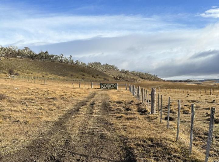 Campo · 100000000ha