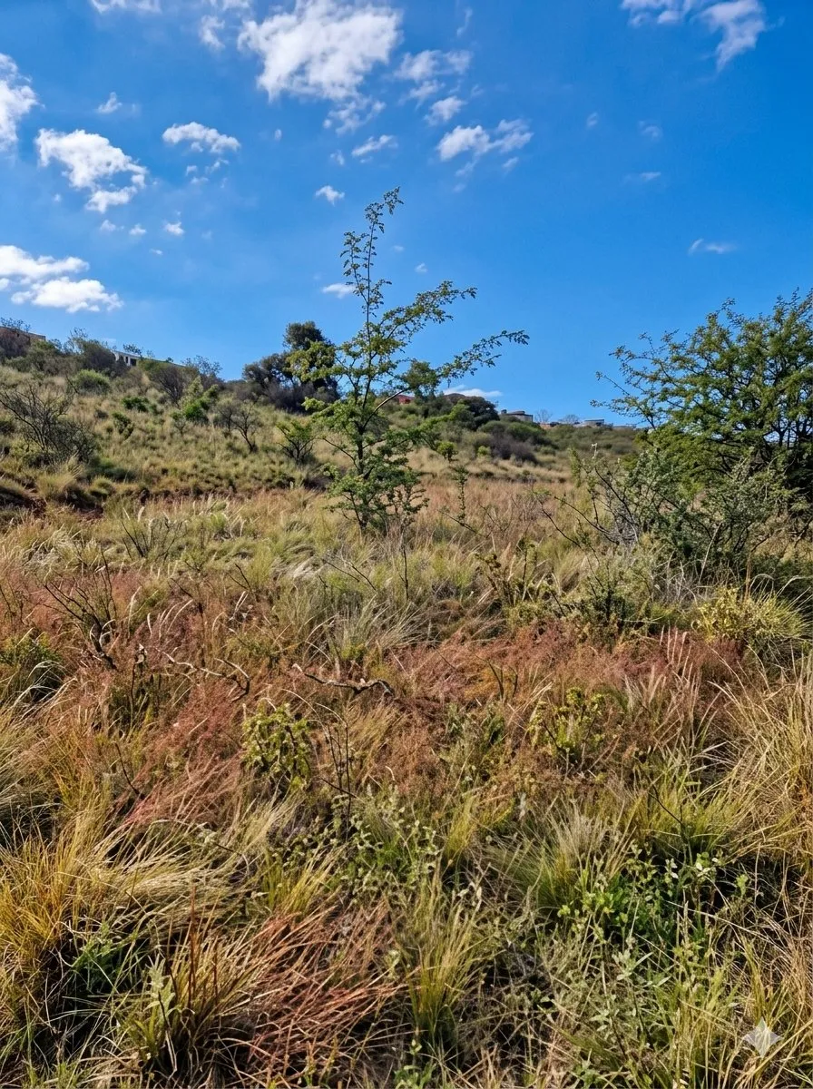 VENDO LOTE 1000m2 - LOTEO VALLE VERDE - VILLA CIUDAD de AMERICA