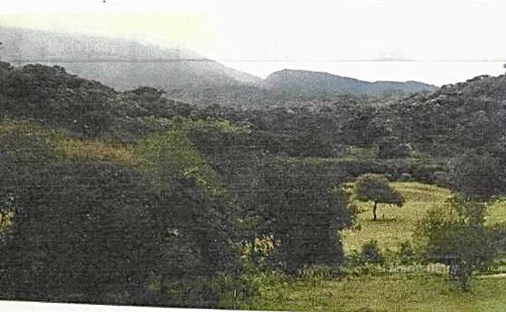 Campo · 650ha · 2 Dormitorios