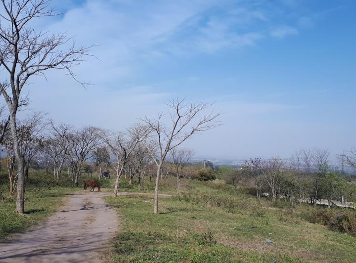 Terreno · 3553003m²