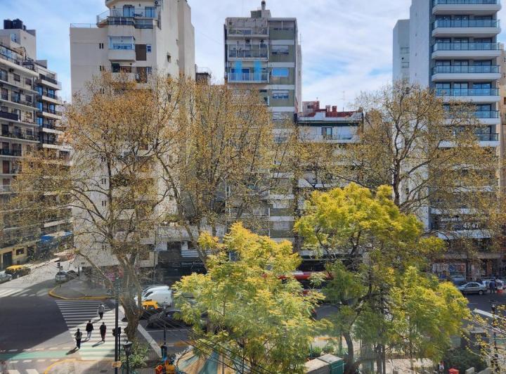 Departamento · 43m² · 2 Ambientes