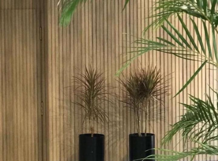 Departamento · 40m² · 1 Ambiente