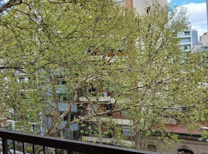 Departamento · 78m² · 3 Ambientes