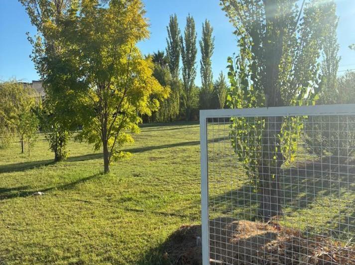 Terreno · 1600m²