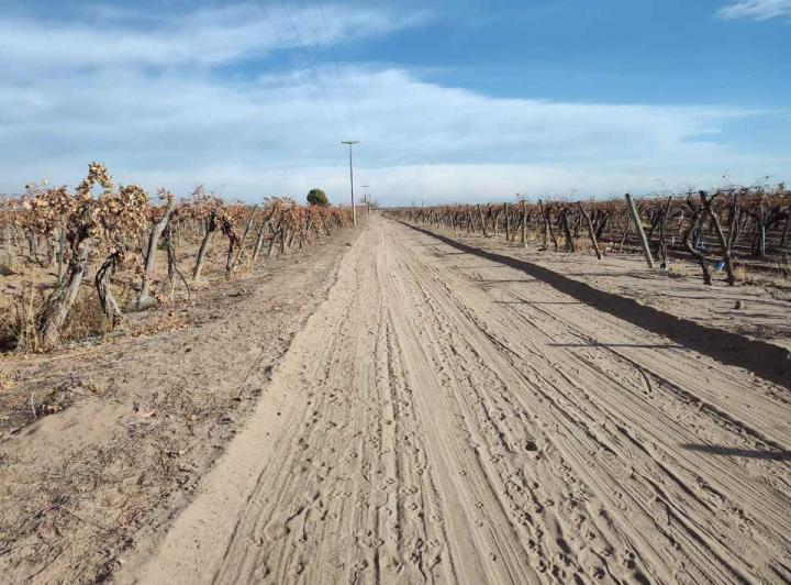 Campo · 500000ha