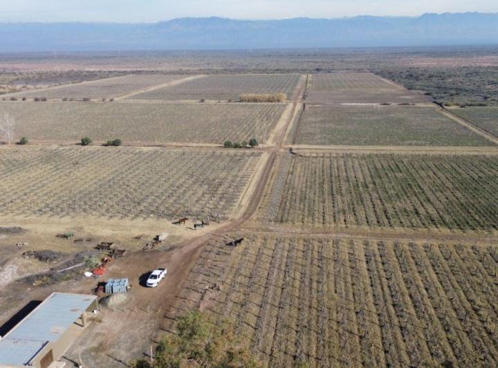 Campo · 59m²