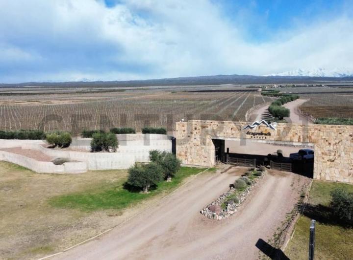 Bodega-Galpón · 3100m² · 1 Ambiente · 1 Cochera