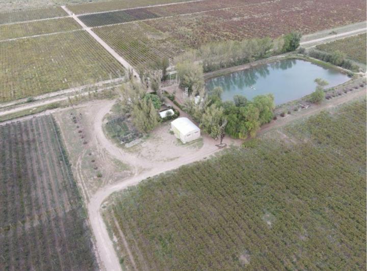Campo · 142ha