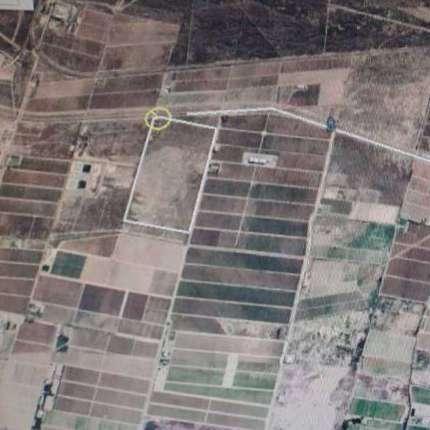 Campo · 49ha