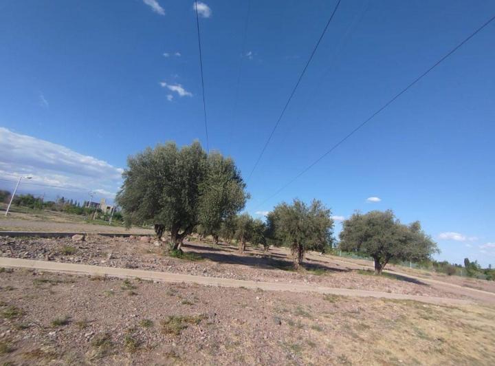 Terreno · 300m²