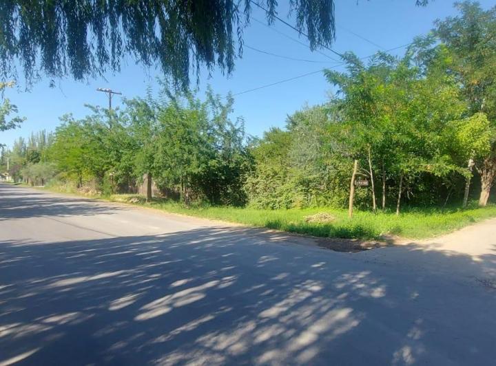 Terreno · 3882m²