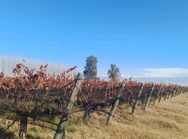 Campo · 840000ha