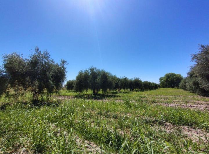 Terreno · 28000m²