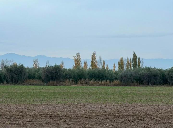 Terreno · 600m²