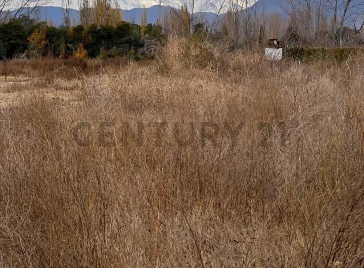 Terreno · 1000m²