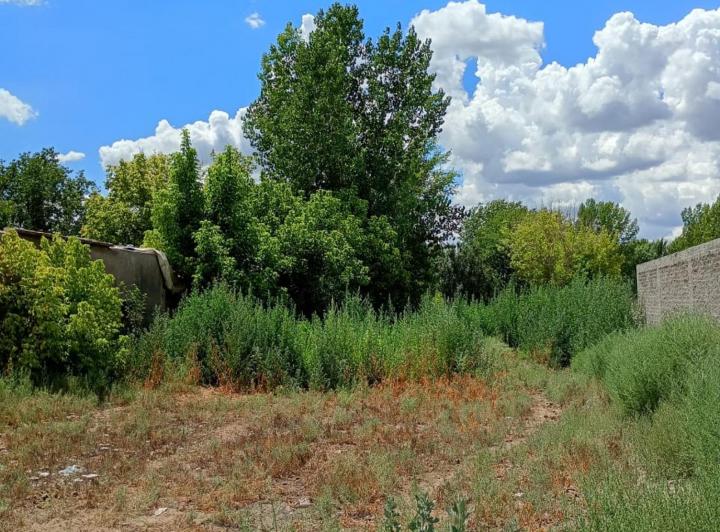 Terreno · 2171m²