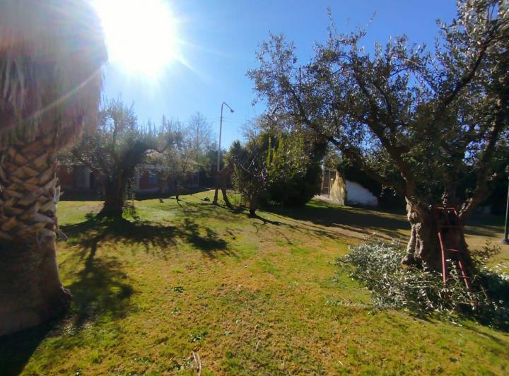 Terreno · 770m²