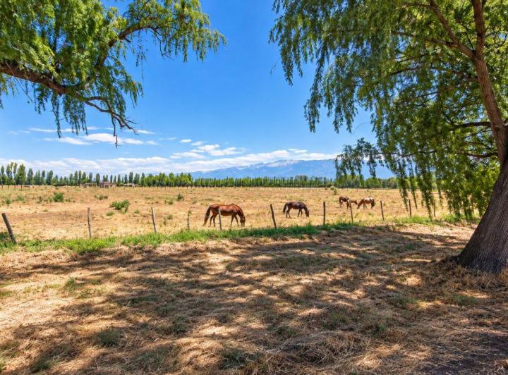 Terreno · 48501m²
