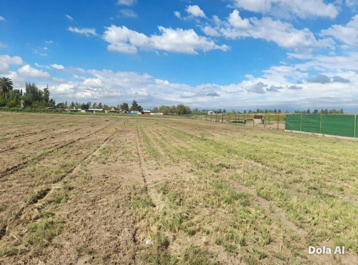 Terreno · 377m²