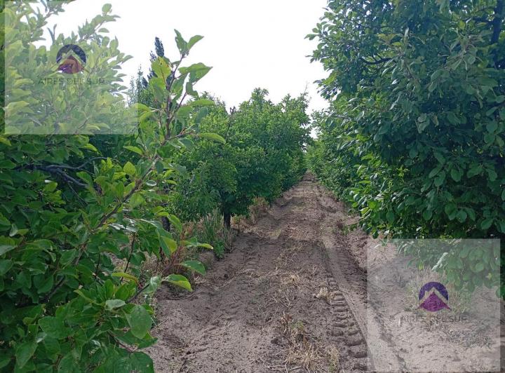 Campo · 44000m² · 5 Ambientes · 2 Cocheras