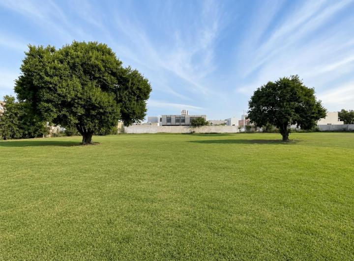 Terreno · 254m²