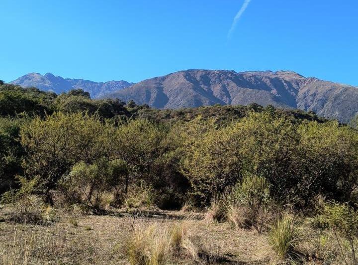 Terreno · 14316m²