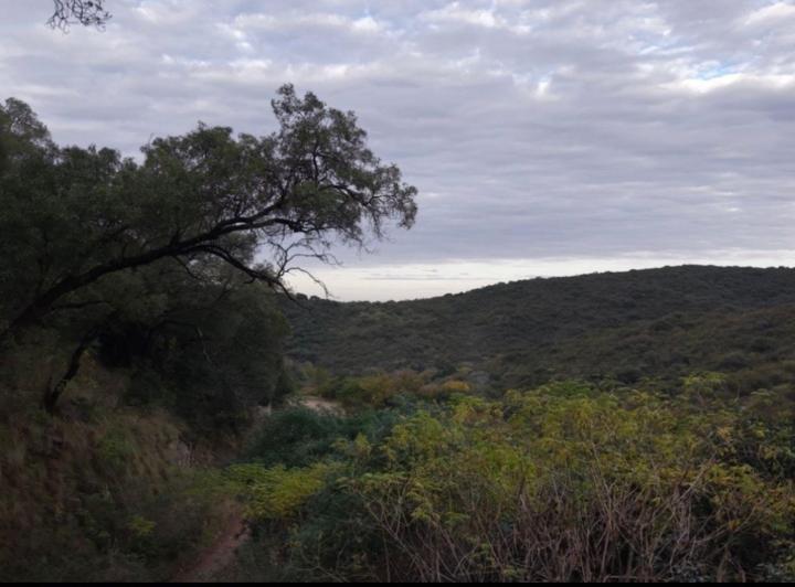 Terreno · 536m²