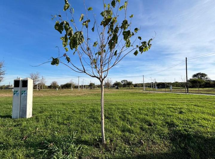 Terreno · 405m²