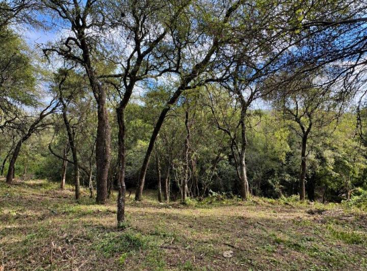 Terreno · 8000m²
