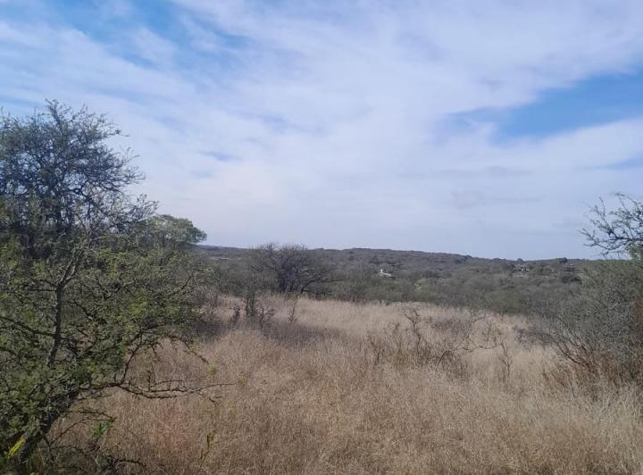 Terreno · 25000m²