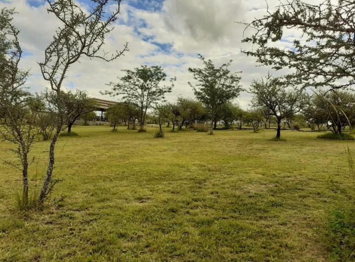 Terreno · 2820m²
