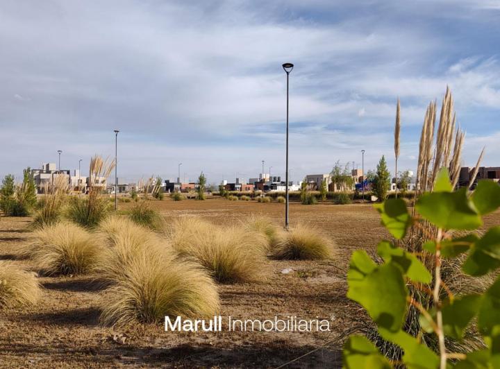 Terreno · 364m²