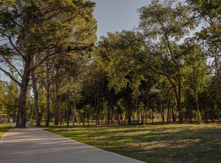Terreno · 250m²