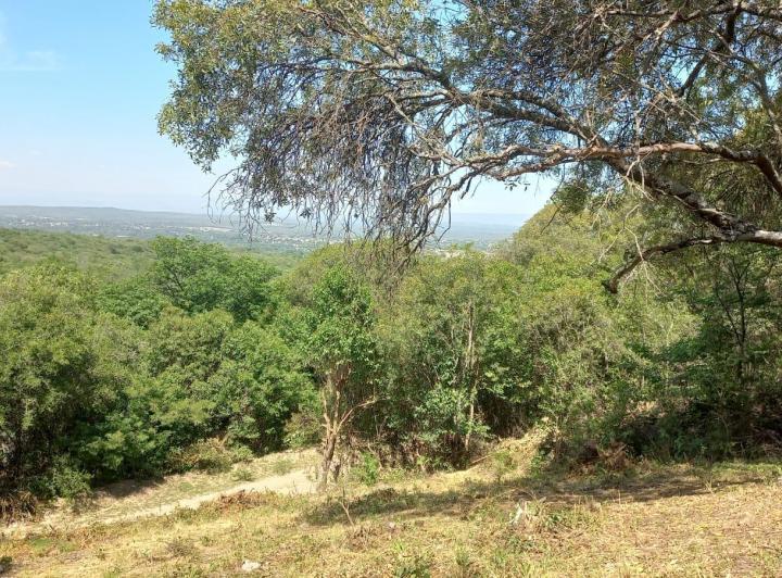 Terreno · 581m²