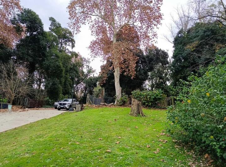 Terreno · 725m²