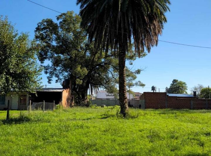Terreno · 332m²