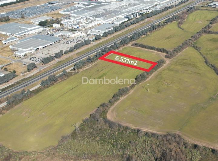 Terreno · 6531m²