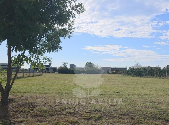 Terreno · 1000m²