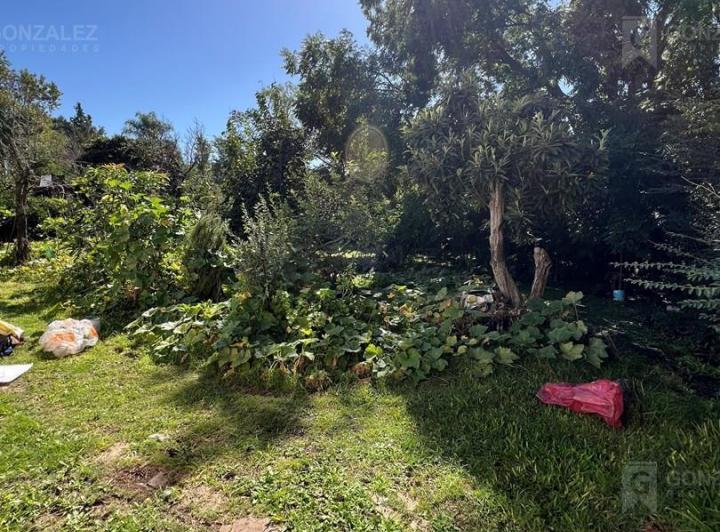 Terreno · 300m²
