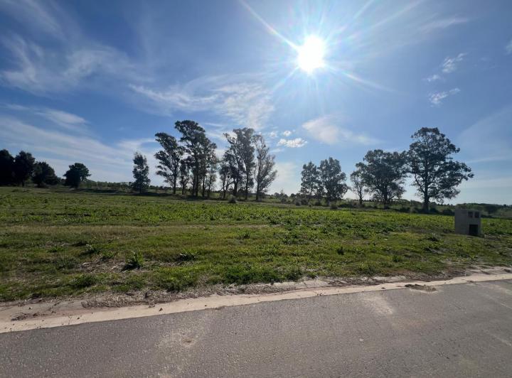Terreno · 1600m²