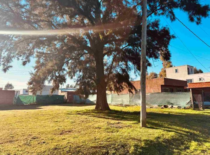 Terreno · 241m²