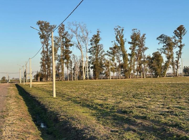 Terreno · 1500m²