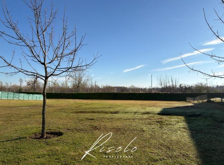 Terreno · 784m²